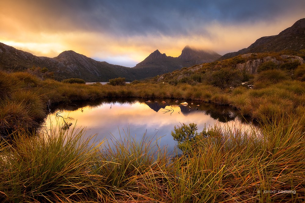 Limited Edition Print - Wild Reflections